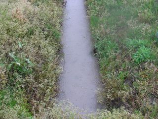 CIMG0780