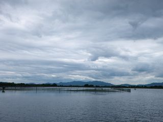 IMGP0488