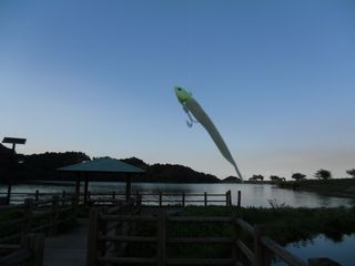 CIMG2106 CIMG2106